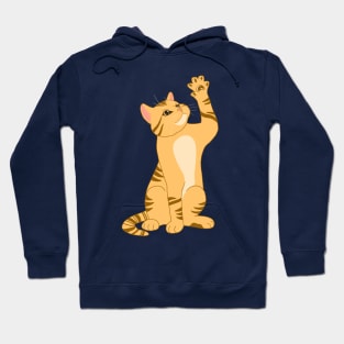 ORANGE GINGER CAT Hoodie